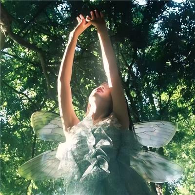 腌黄瓜先生第二季