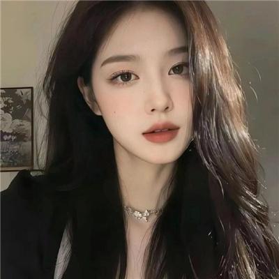 掩耳盗邻第一季